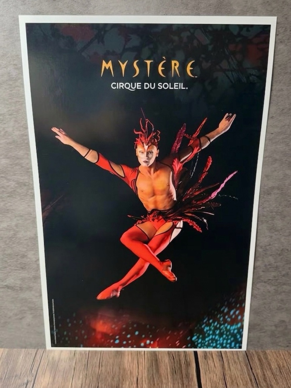 Vintage Cirque du Soleil "Mystère" Promo Poster – 11x17” Art Print